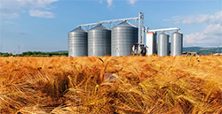 MVE-SSʳ����ҵר�ò�����񶯵��